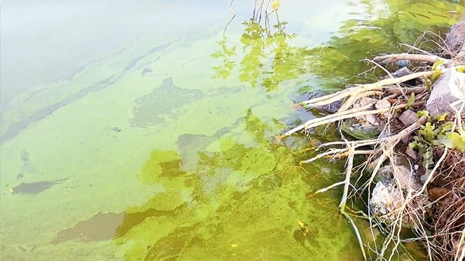 일하는 방식의 변화